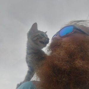 Meet your Posher, Charles